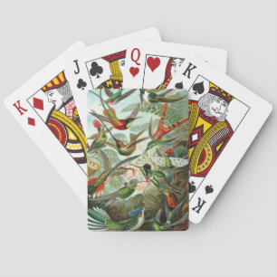 hummingbird bird wildlife classic painting playing cards