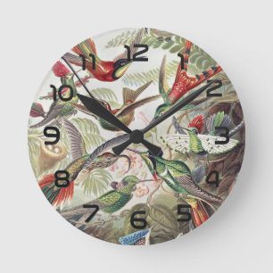 Hummingbird Bird Wildlife Classic Painting Round Clock