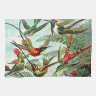 hummingbird bird wildlife classic painting tea towel