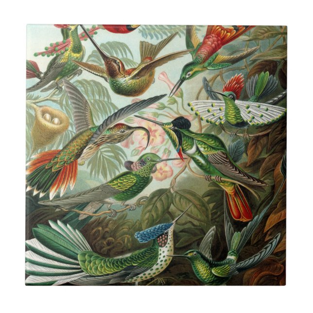hummingbird bird wildlife classic painting tile (Front)