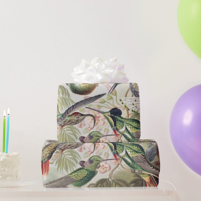 Hummingbird Bird Wildlife Classic Painting Wrapping Paper (Party Gifts)