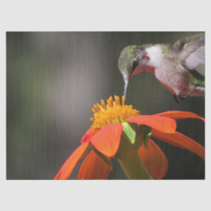 Hummingbird Bird Wildlife Sunflower Flower Floral Tissue Paper