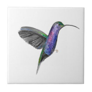 Hummingbird Bird Wildlife Watercolor Colourful Tile