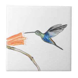 Hummingbird Bird Wildlife Watercolor Colourful Tile