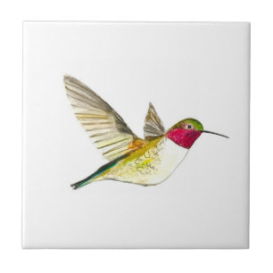Hummingbird Bird Wildlife Watercolor Colourful  Tile