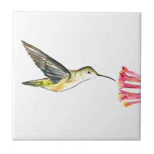 Hummingbird Bird Wildlife Watercolor Colourful Tile