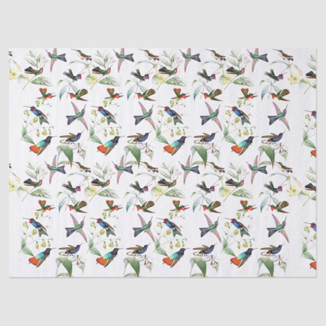 Hummingbird Birds Animals Flowers Tissue Paper (Front)