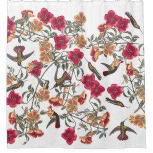 Hummingbird Birds Audubon Floral Shower Curtain