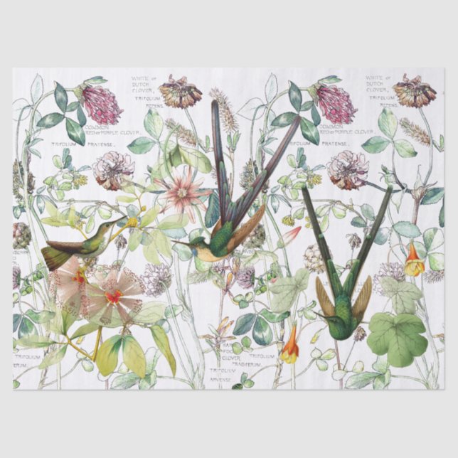 Hummingbird Birds Clover Flowers Tissue Paper (Front)