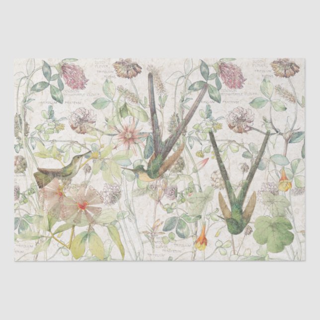 Hummingbird Birds Clover Flowers Tissue Paper (Front)