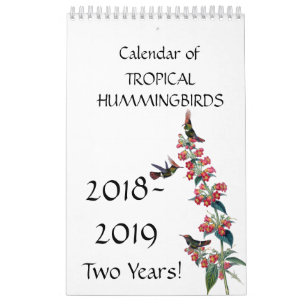 Hummingbird Birds Flower Floral 2018 2019 Calendar