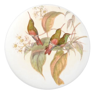 Hummingbird Birds Flower Floral Garden Knob