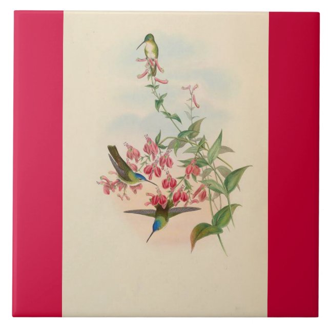 Hummingbird Birds Flowers Floral Animals Wildlife Tile (Front)