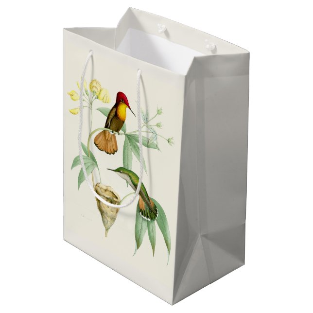 Hummingbird Birds Flowers Floral Nest Gift Bag (Back Angled)
