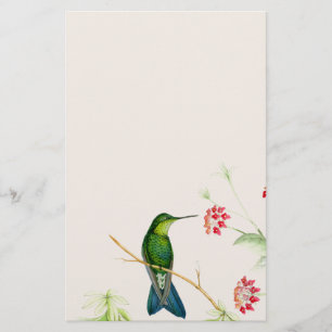 Hummingbird Birds Flowers Floral Wildlife Animals Stationery