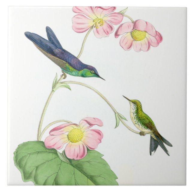 Hummingbird Birds Flowers Floral Wildlife Animals Tile (Front)