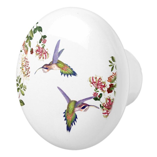 Hummingbird Birds Flowers Wildlife Animal Knob (Right)