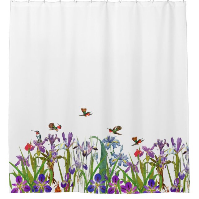 Hummingbird Birds Iris Flowers Shower Curtain (Front)