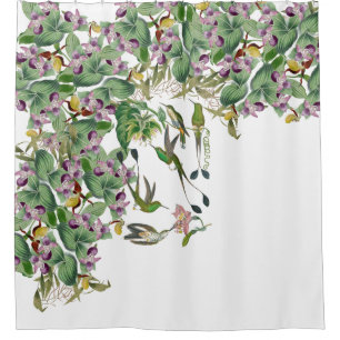 Hummingbird Birds Orchid Flowers Shower Curtain