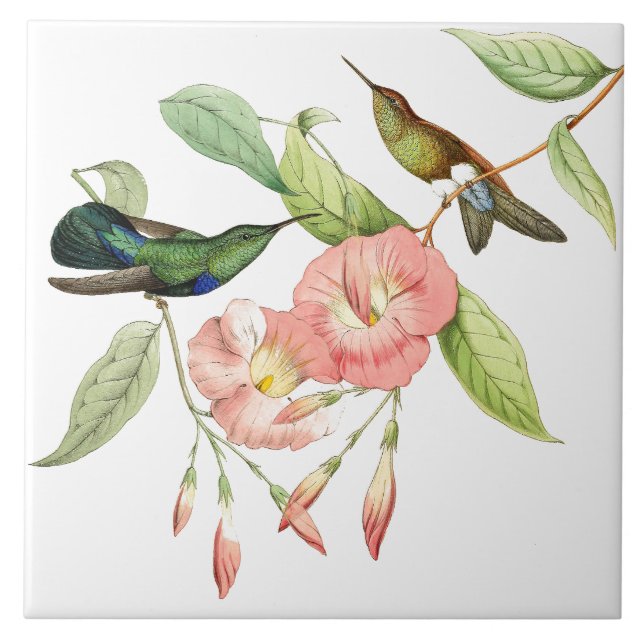 Hummingbird Birds Pink Flowers Ceramic Tile (Front)