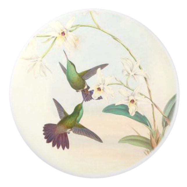 Hummingbird Birds Wildlife Animals Floral Knob (Front)