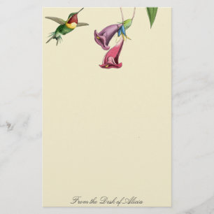Hummingbird Birds Wildlife Animals Stationery