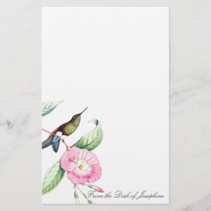 Hummingbird Birds Wildlife Animals Stationery
