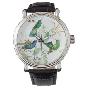 Hummingbird Birds Wildlife Floral Flowers Watch