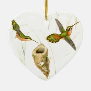 Hummingbird Birds Wildlife Flowers Animal Ornament
