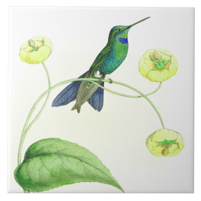 Hummingbird Birds Wildlife Flowers Floral Animals Tile (Front)