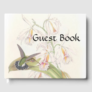 Hummingbird Birds Wildlife Flowers Guest Book