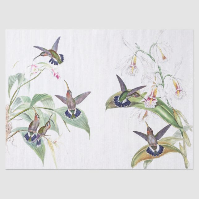Hummingbird Birds Wildlife Flowers Tissue Paper (Front)