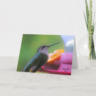 Hummingbird Birthday Card