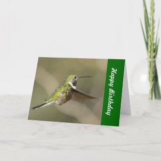 Hummingbird Birthday Card