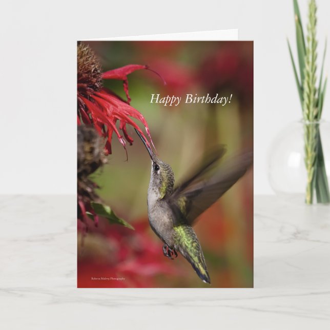 Hummingbird Birthday card (Front)