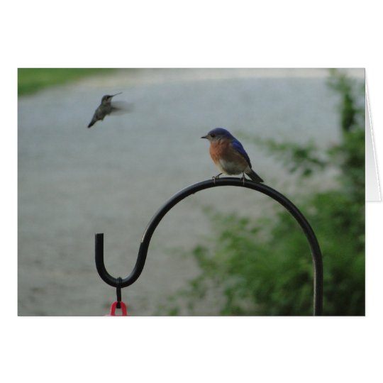 Hummingbird & Bluebird, Religious Card