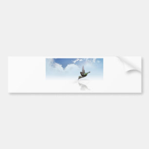 Hummingbird Bumper Sticker