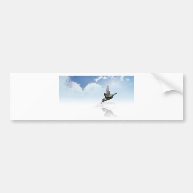 Hummingbird Bumper Sticker (Front)