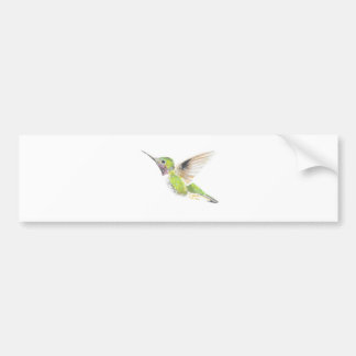 Hummingbird Bumper Sticker