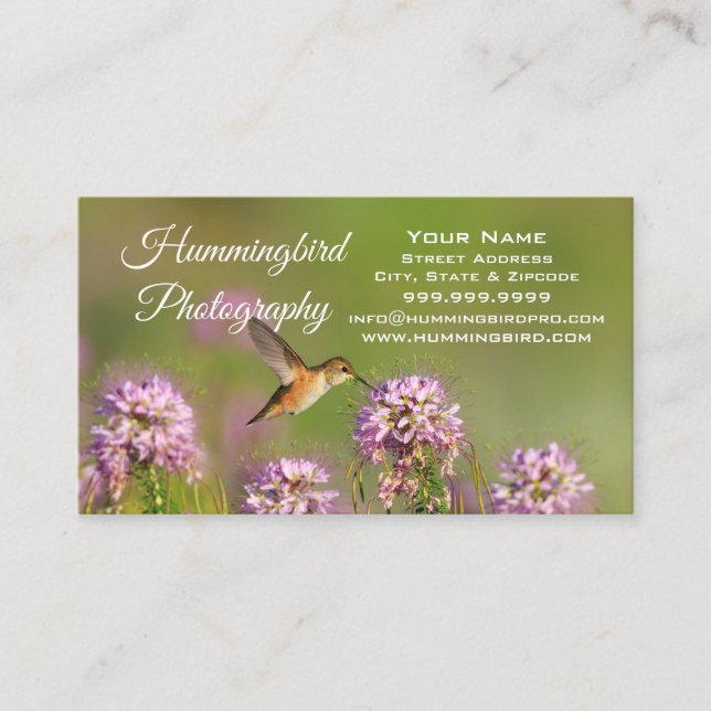 Hummingbird Business Card (Front)