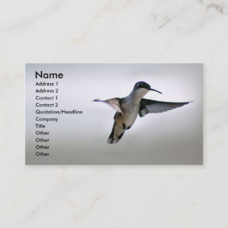 Hummingbird Business Card