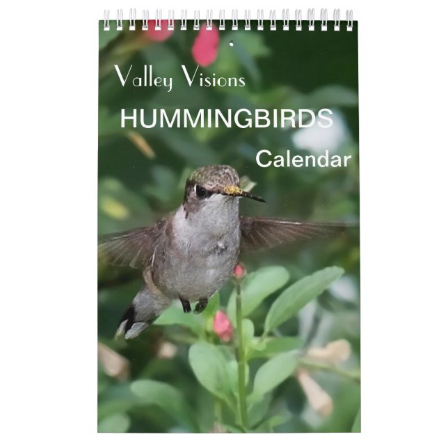 Hummingbird Calendar By Valley Visions (Cover)