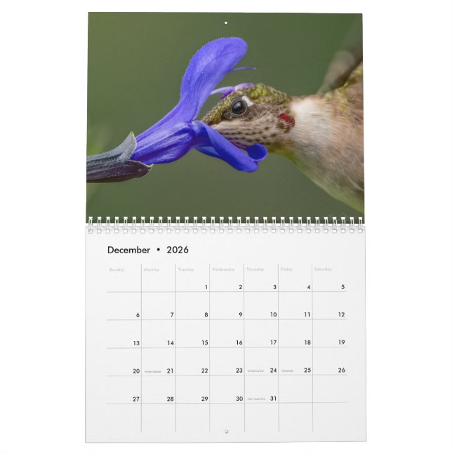 Hummingbird calendar with unique images (Dec 2026)