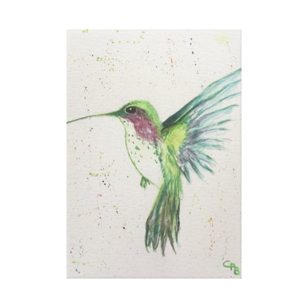 Hummingbird Canvas Prints & Wall Art | Zazzle.co.uk