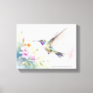 Hummingbird Canvas Print