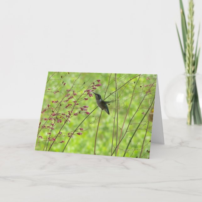 Hummingbird Card (Front)