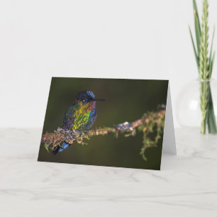 Hummingbird Card