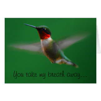 Hummingbird Card