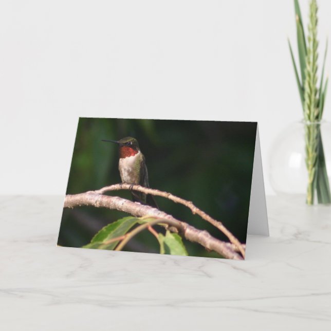Hummingbird Card (Front)