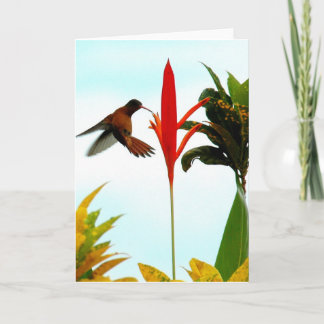 Hummingbird Card (Pose 1)